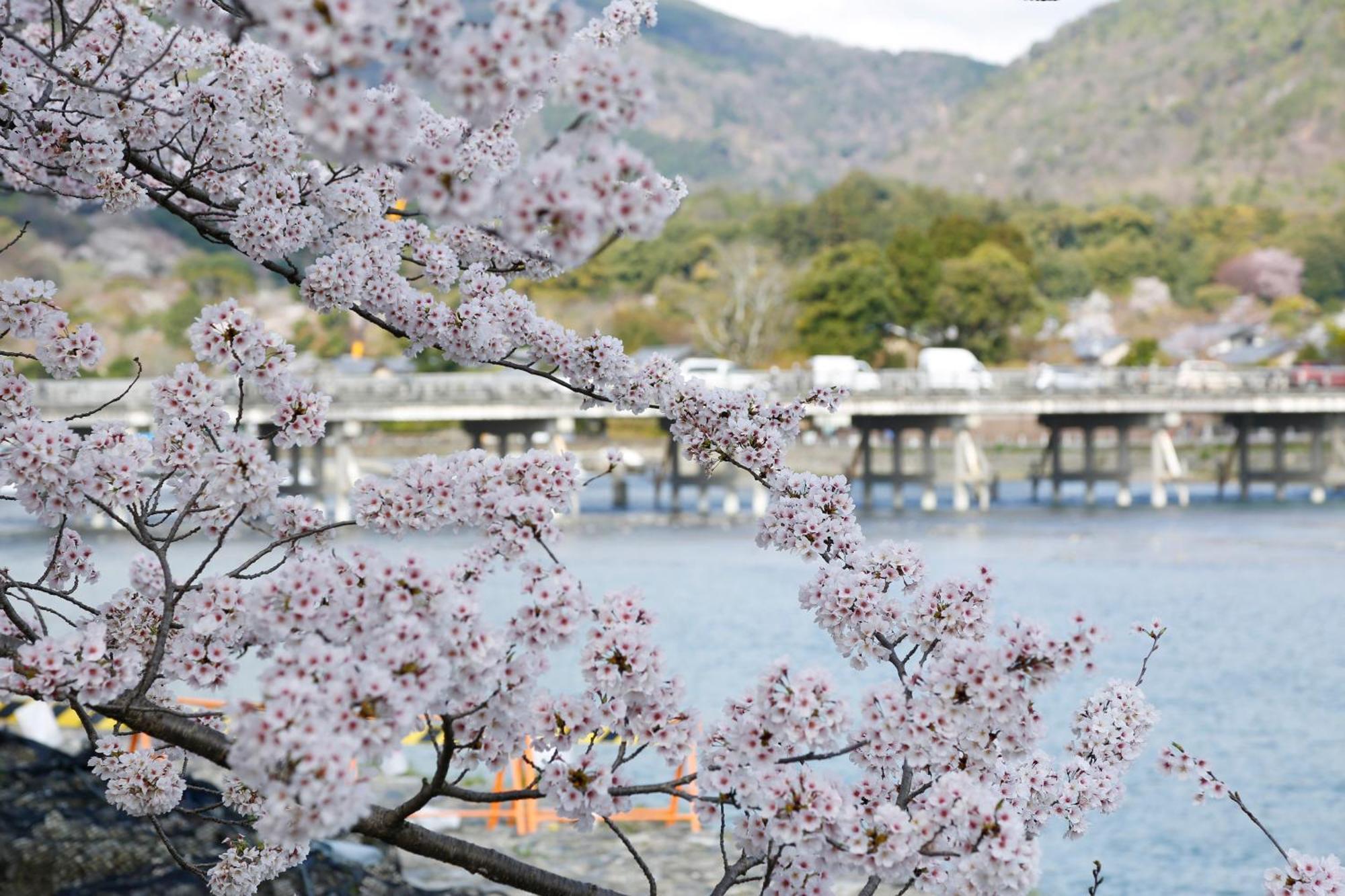 Kyoto Arashiyama Onsen Ryokan Togetsutei Exterior foto